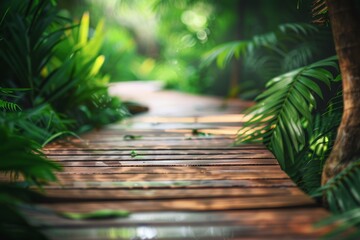 Wooden walkway winding through a tropical forest with dense, lush foliage.