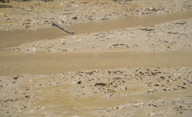 Mud on river, pond or lake. Nature landscape background.