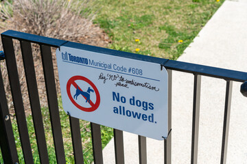 Obraz premium No dogs allowed.