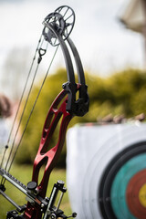 Precision Craft: A Close-Up of a Bow and Arrows