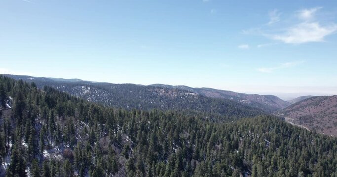 Aerial view push in of the pine tree forests covering the mountains in New Mexico