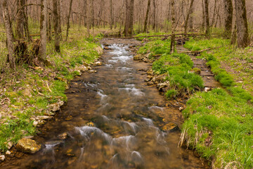A creek in the woods in early spring.