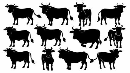 set of cute cows silhouette black color 