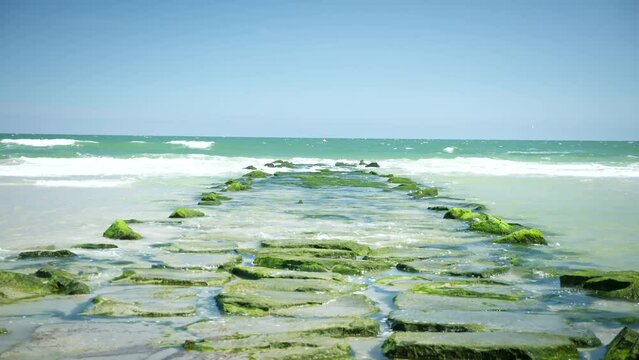 Waves Hit Patch of Vibrant Green Rocks at Beach