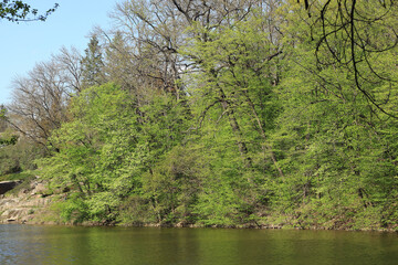 Beautiful lake in the park