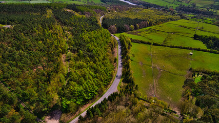 Winding Road Through Lush Forest in North Yorkshire