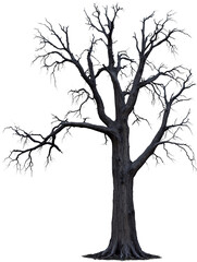 Gloomy dead tree