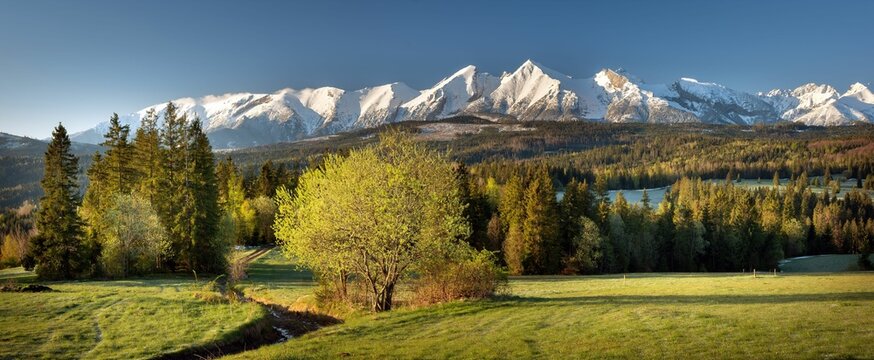 Fototapeta Piękna panorama Tatr Bielskich widziana z Łapszanki w wiosenny poranek