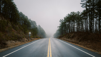 Foggy road in Arkansas with trees on a cloudy day