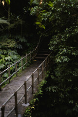 Jungle bridge at Bali waterfall