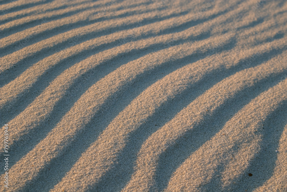 Wall mural Untouched Sand Ripples at Dusk - Wall murals