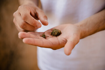Close-up of the hands of a young boy holding a marijuana bud