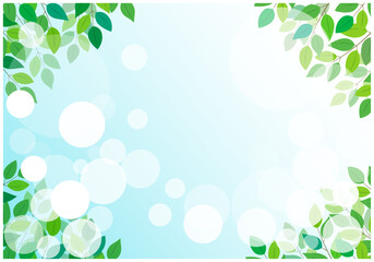 緑の葉っぱの美しい新緑フレーム背景7青