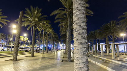 Palm Park in Jerusalem in the night timelapse hyperlapse