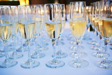 Rows of champagne ready for a toast.