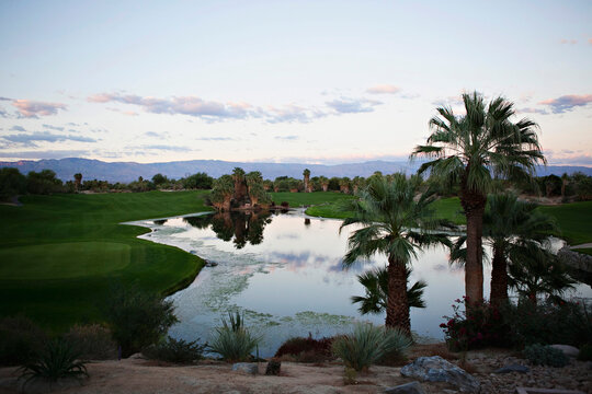 Serene golf course oasis amidst desert palms at dusk.