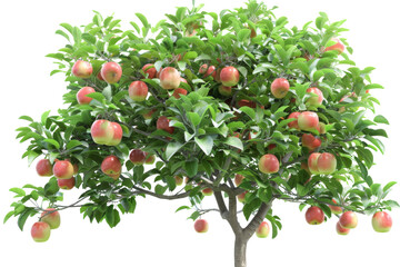 A majestic tree bursting with an abundance of ripe and colorful fruit