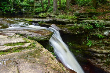 waterfall in the forest