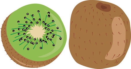 Fototapeta premium vector drawing of a kiwi