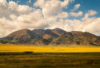 Peak grassland in Sailimu Lake Scenic Area, Xinjiang, China