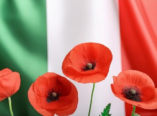 Red poppy flowers on background with Italy flag. Liberation day holiday. Festa della liberaz