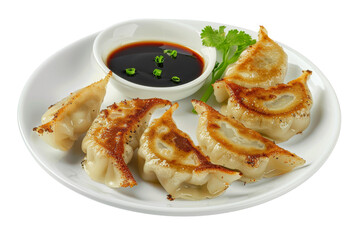 A white plate is elegantly topped with dumplings and a side of dipping sauce