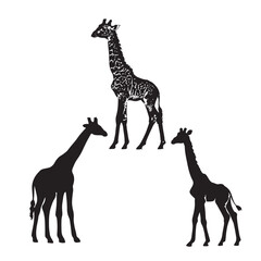Giraffe silhouette