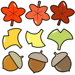 Autumn leaves, ginkgo leaves, and acorns
