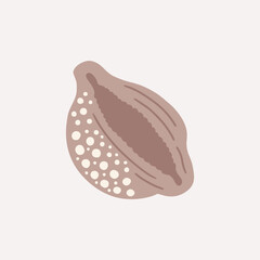 Cartoon illustration of brown cowrie shell. Cute hand drawn vector illustration of seashell
