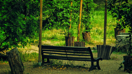lonely bench in a dense park