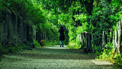 Young woman walking her dog in the park on a sunny day