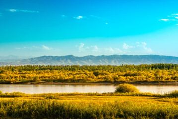 Nalati Grassland in Xinjiang, China-Ili Scenery