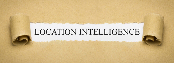 Location Intelligence - obrazy, fototapety, plakaty