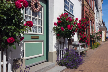 Schöne gepflegte Häuser Fassaden mit  schönen Türen und roten Stockrosen in der Holländersiedlung Friedrichstadt.