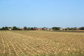 Wheat field with village houses on the horizon