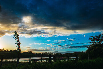 sunset in the forest