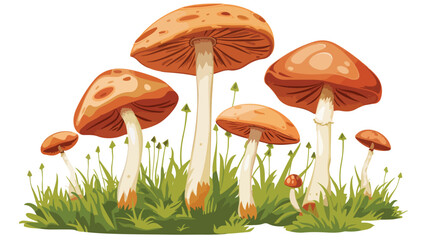 Forest mushroom on white background Vector illustration