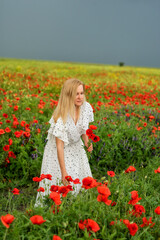 Naklejka na ściany i meble cute feminine blonde girl collects red poppies flowers in the field. 