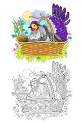 Colorful and black and white page for coloring book. Illustration of a cute little hen in basket. Printable worksheet for children. Flat clip-art drawing. Vector cartoon image. Animals for kids.