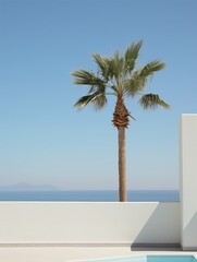 Palm tree leaves against turquoise blue sky and white wall. Colorful minimalism.