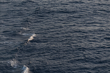 Fototapeta premium Beautiful photo of the sea waves