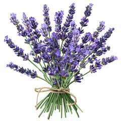 Clipart illustration a lavender on white background. Suitable for crafting and digital design projects.[A-0003]