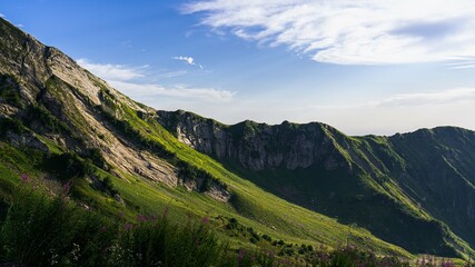 Mountain ridges with lush greenery and wildflowers under a clear sky