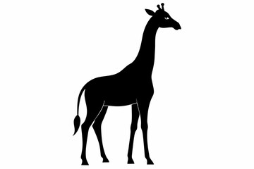 black Giraffe silhouette vector illustration on white background