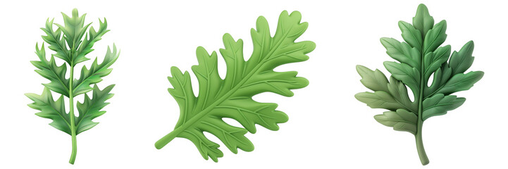 PNG thistle leaf 3d icons and objects collection, in cartoon style minimal on transparent, white background, isolate