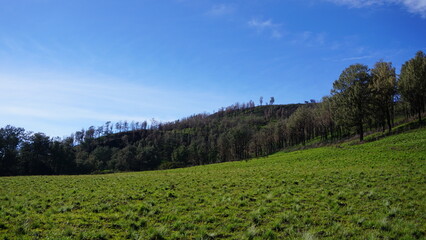 landscape of the mountains