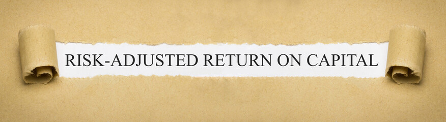 Risk-Adjusted Return on Capital