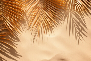 dry palm leaves border pattern on a sand, flat lay, sunny, close up, copy space