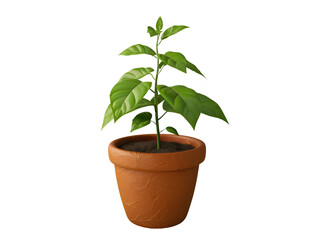 a green plant in a terracotta pot, 3d element illustration