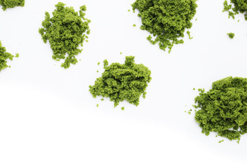 Obraz premium Wolffia globosa or swamp algae, water meal